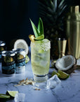 PIÑA COLADA SPRITZ | 0% Alc Vol