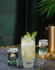 KEY LIME PIE MOJITO FIZZ | 0% Alc Vol